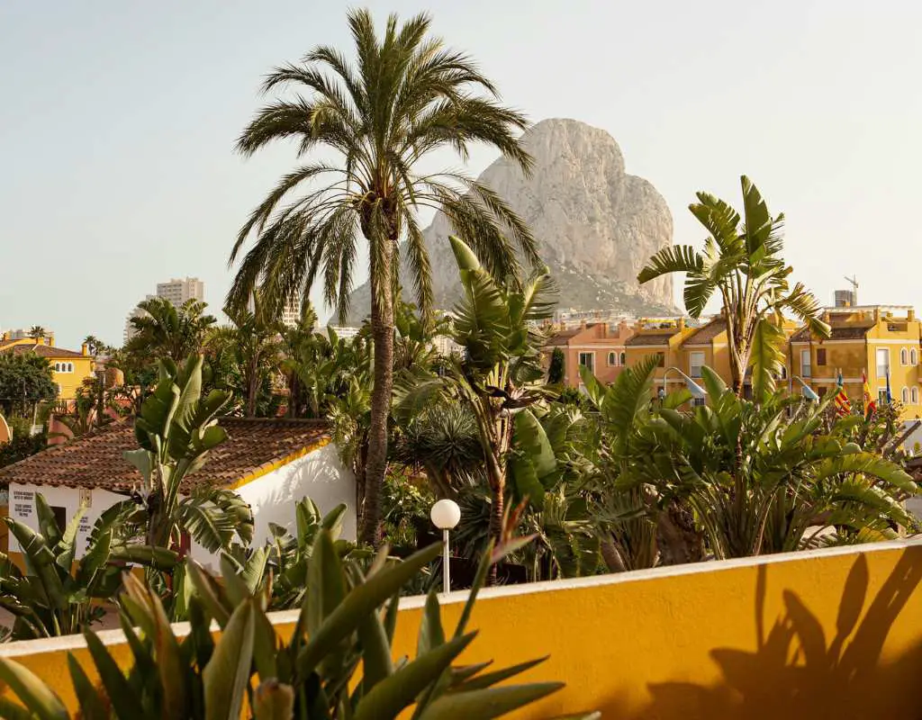 Calpe yellow houses and palm trees