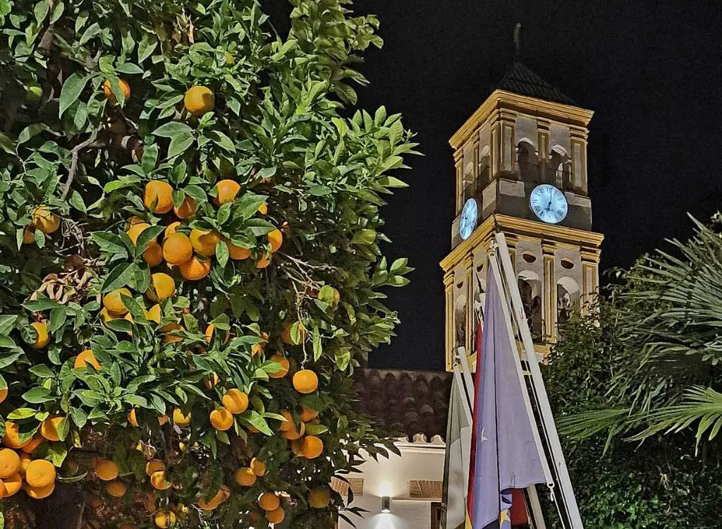 Image of some of the famous orange trees that dot Marbella's Old Town.